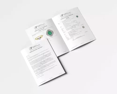 GuildPro Jewellery Valuation Software Guild of Valuers Jewellers